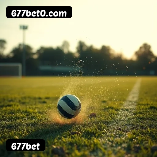 677bet APP mobile iOS Android - 187 mil downloads São Paulo Rio BH