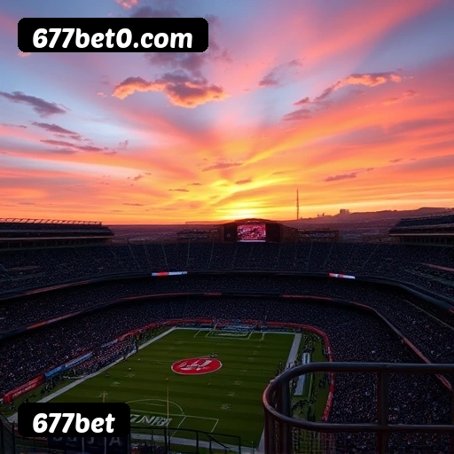 Níveis do programa VIP da 677bet